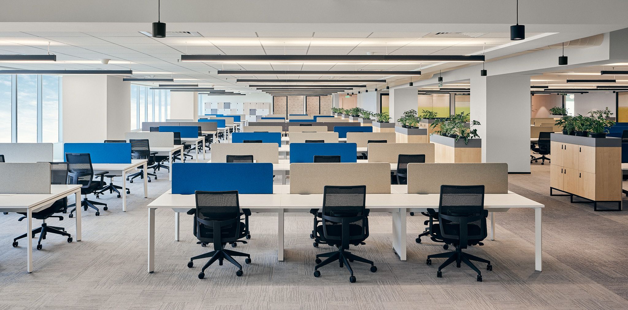 A modern open-plan office featuring rows of desks and chairs, symbolising a professional workplace environment and referencing signs of constructive dismissal.